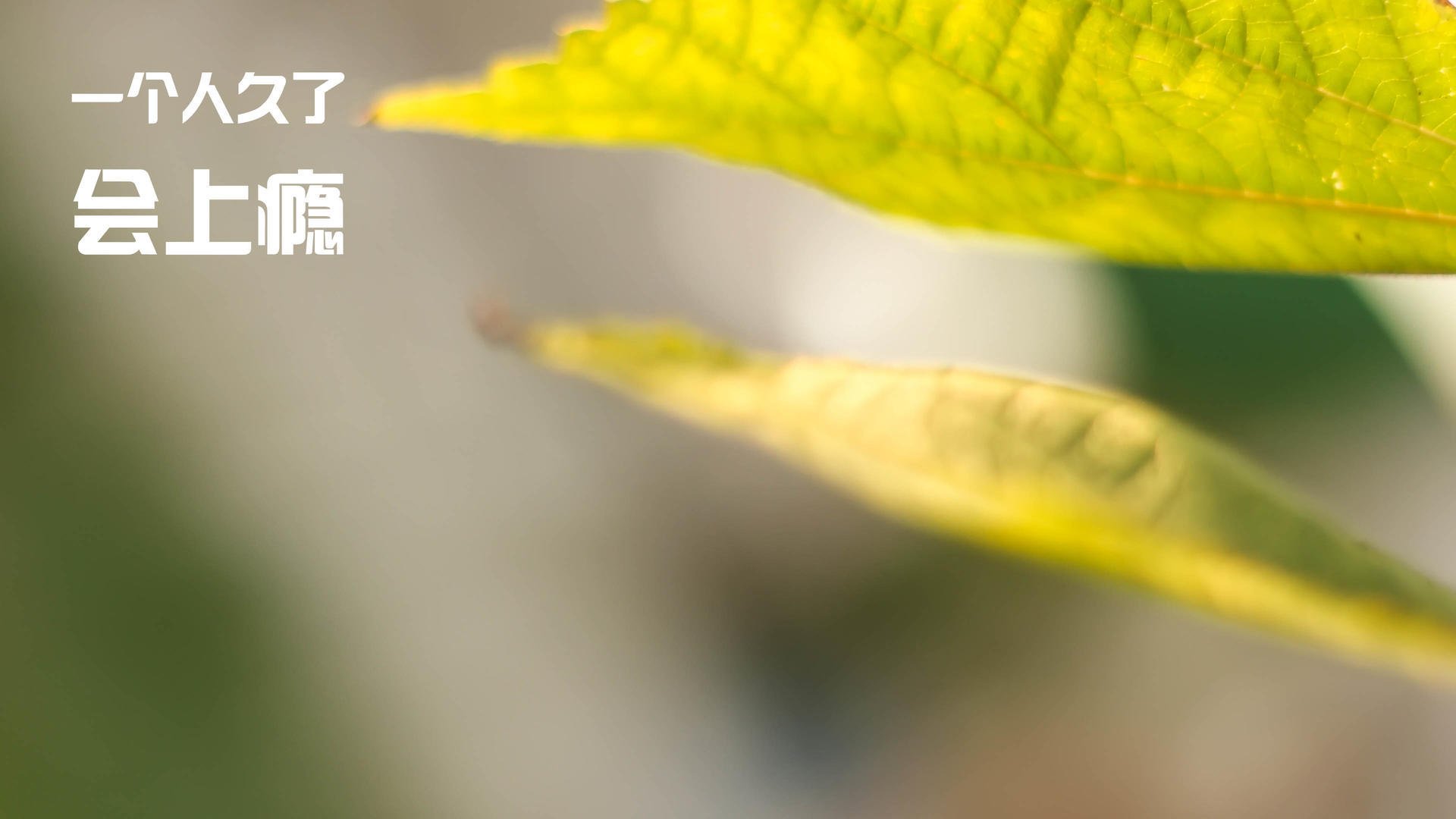 未来技术：智能穿戴设备为球员提供全方位训练数据，智能穿戴领域