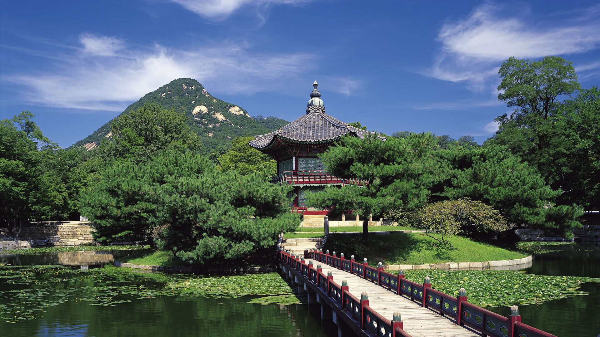 巴西男足在预选赛中被阿根廷淘汰,巴西对阿根廷男排