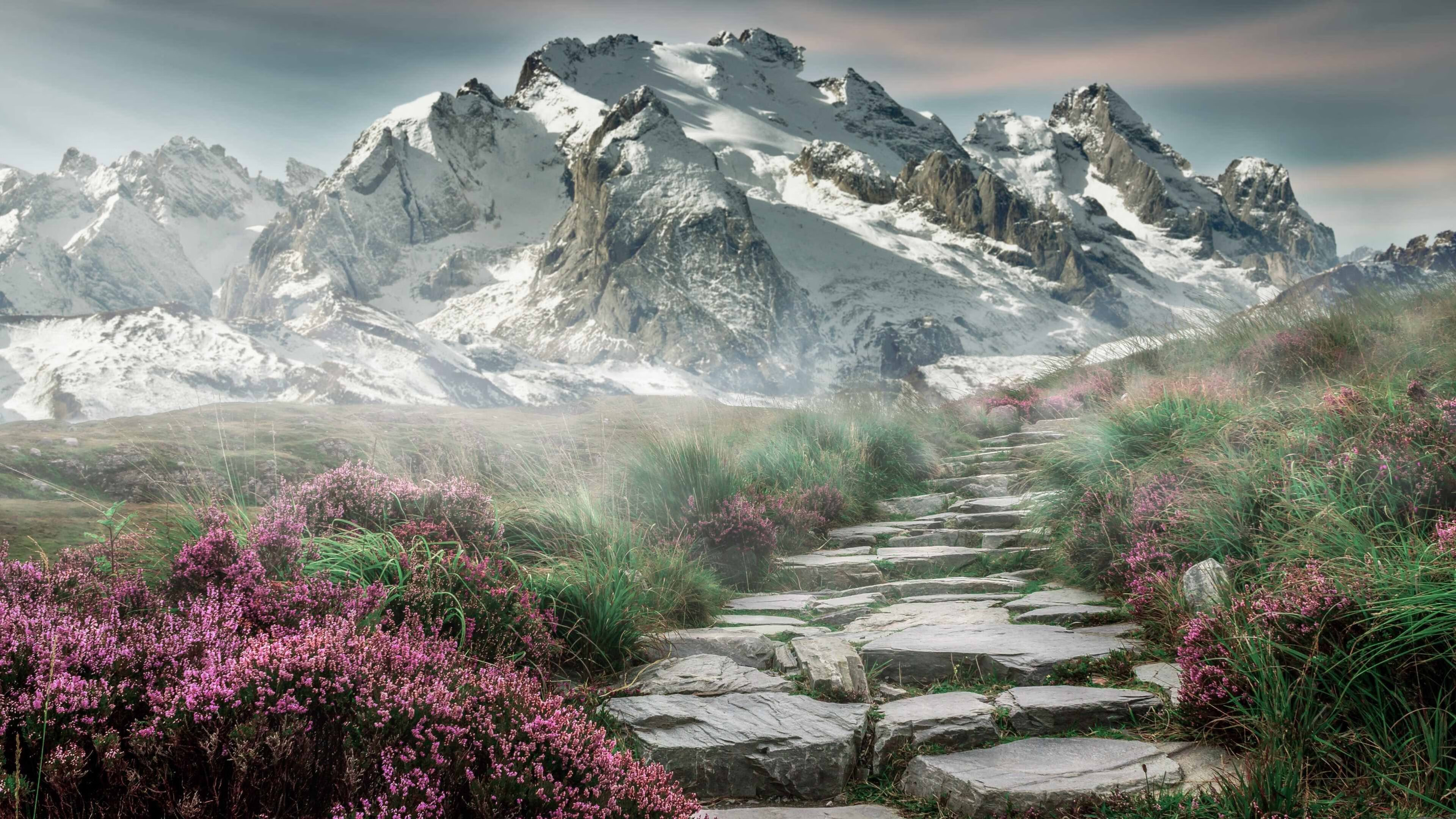 是否应鼓励更多球员参与青训推广,是否应鼓励更多球员参与青训推广英语