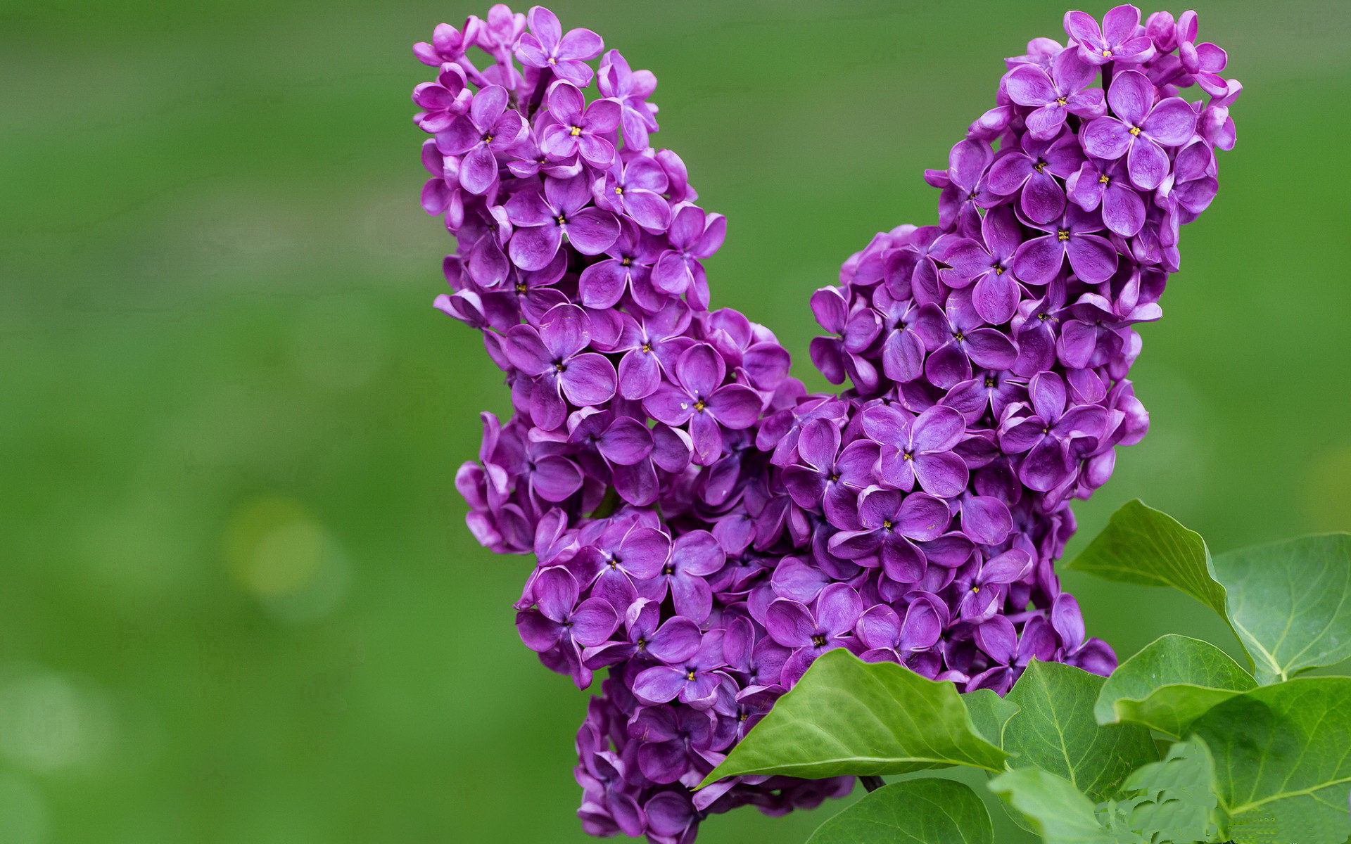 九游电脑版-皇马主帅改变阵容，球队表现尚不稳定，皇马现任主帅是谁