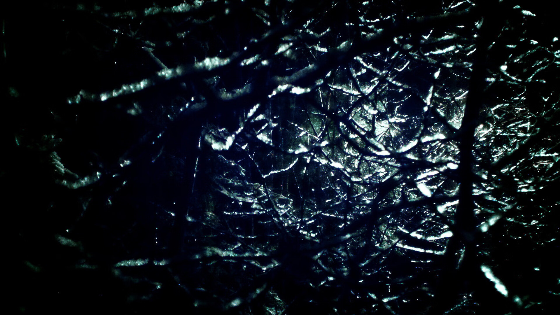 雄鹿大胜热火,重新夺回东部榜首位置,雄鹿险胜热火