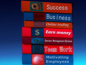 九游(jiuyou)官方网站-中国篮球职业联赛经济效益提升路径及风险管理，中国篮球职业联赛的看法