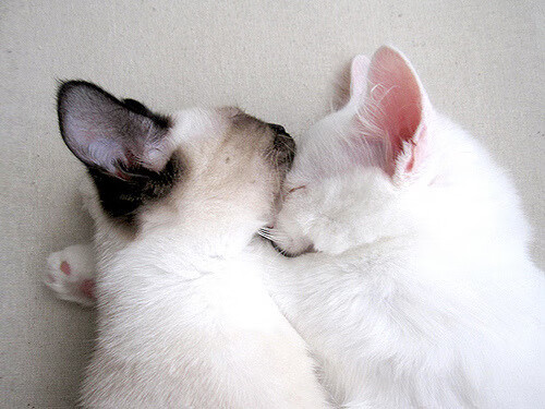 九游登录入口-“顶级马拉松选手亮相武汉，赛场惊现新纪录”