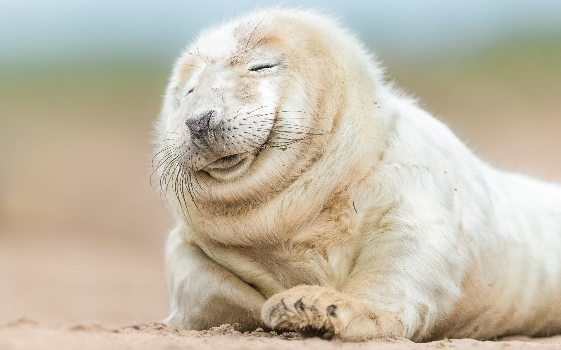 JIU YOU GAME-“帕布罗·马特拉：从球场到更高舞台，阿根廷美洲狮队的未来核心”