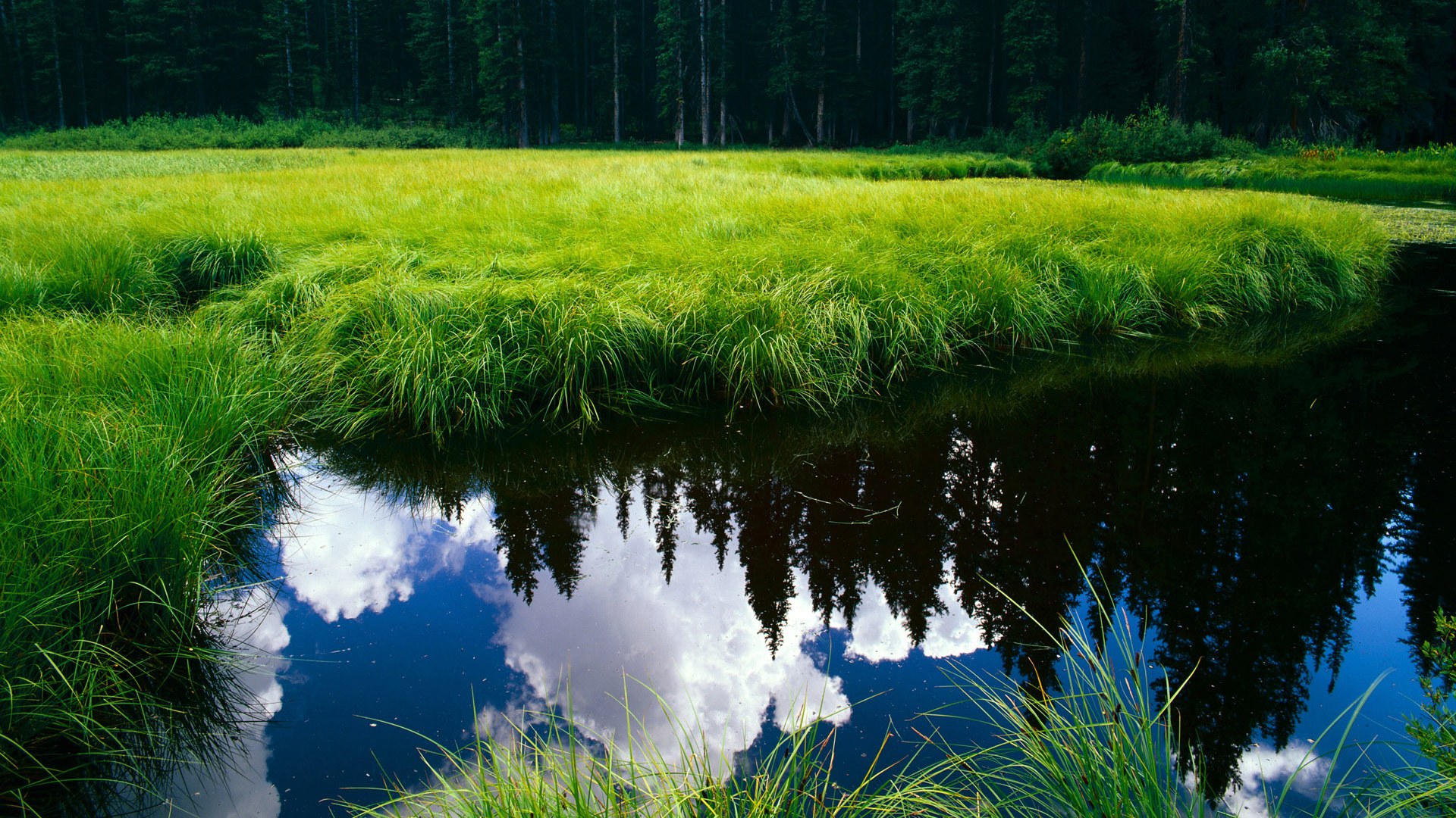 九游电脑版-“南非羚羊队训练营亮点：萨尔·巴赫展现顶级技能”