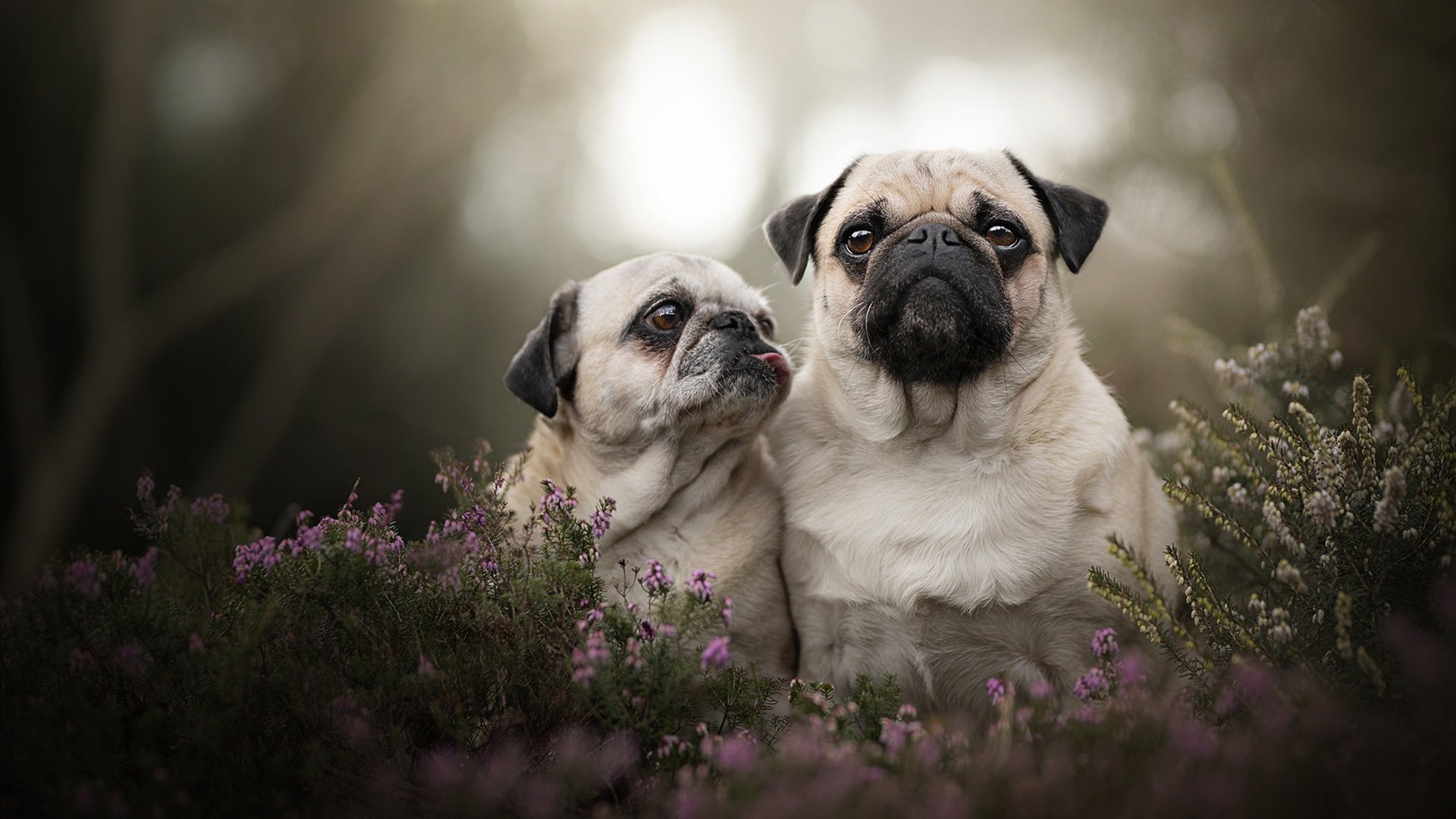 绿色环保场馆建设步伐加快,打造未来绿色足球新时代,绿色环保展览